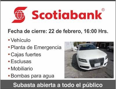 Subastas en México
