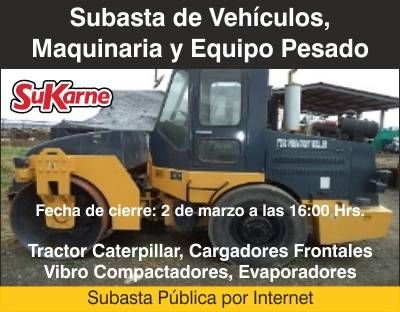 Subastas en México