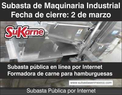 Subastas en México