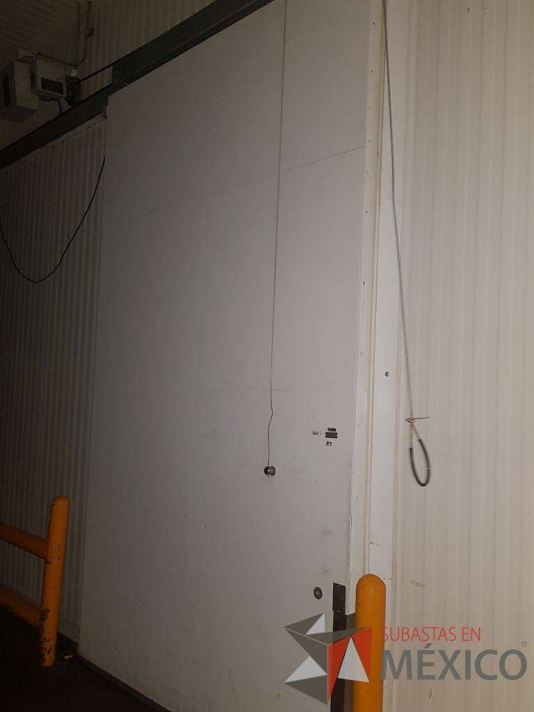 Lote 177 - Puerta para cámara fría, automatizada - Imagen 2