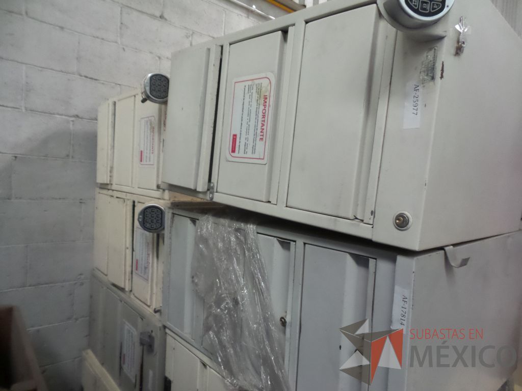 Lote 003 - 20 Cajoneras temporizadas, 2 Lockers y 2 portas chequeras metálicas