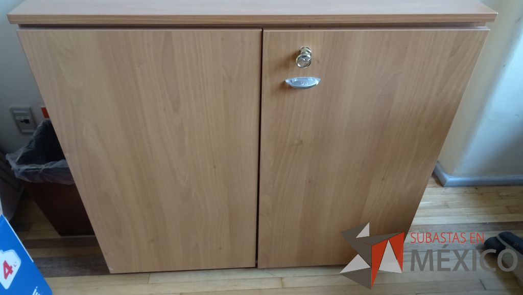 Lote 077 - 6 Muebles de seguridad en madera con 2 puerta y chapa ( tipo caja fuerte ) - Imagen 7