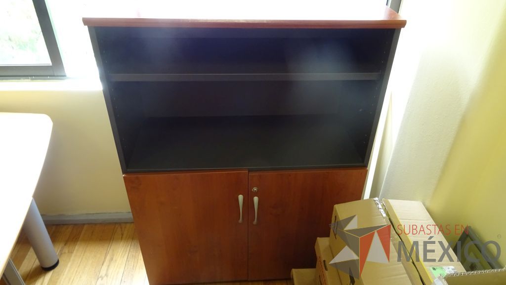 Lote 041 - Gabinete con 2 puertas - Imagen 2