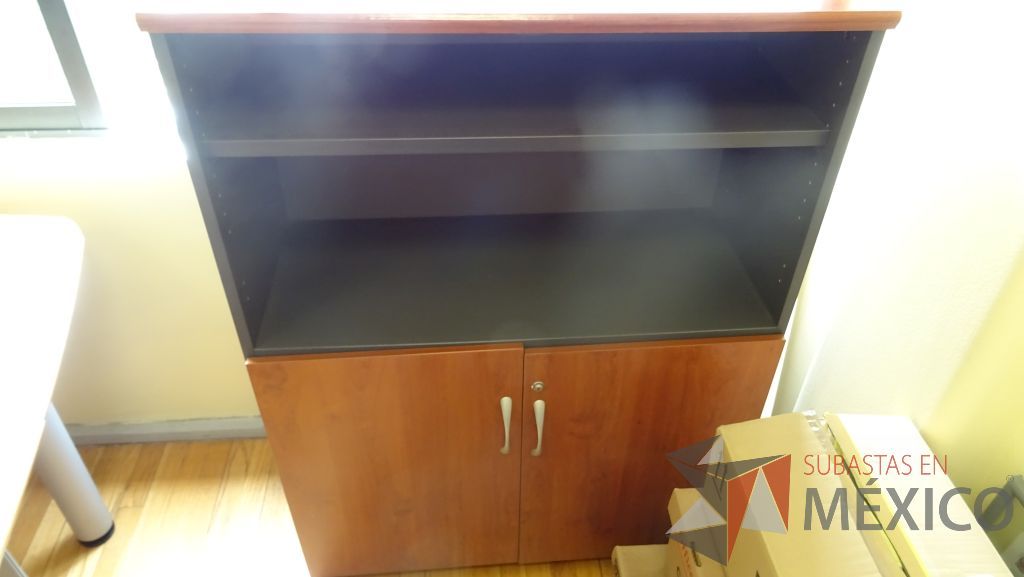 Lote 041 - Gabinete con 2 puertas - Imagen 3