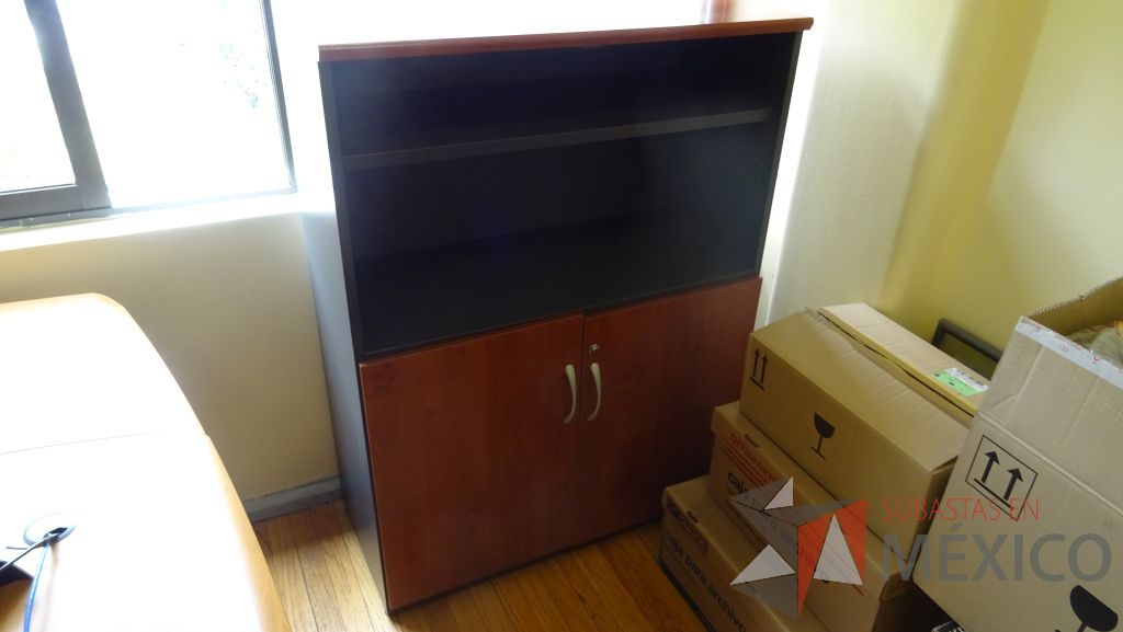 Lote 041 - Gabinete con 2 puertas - Imagen 4
