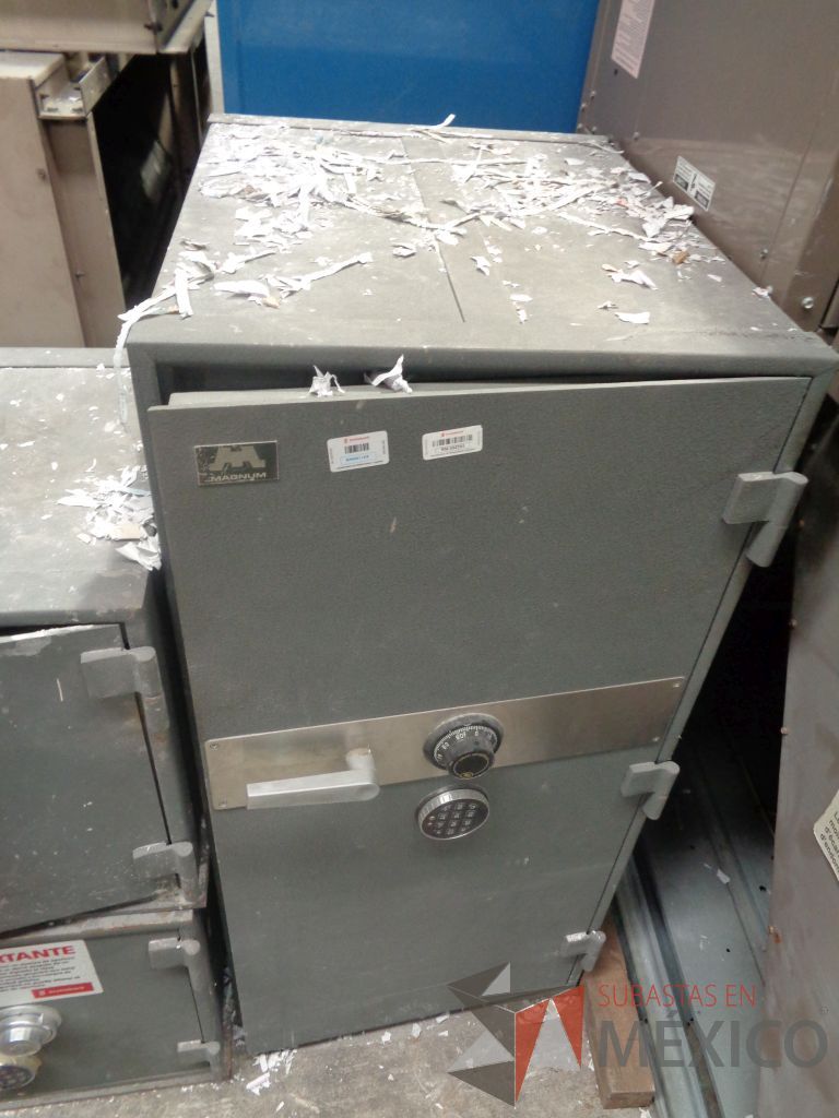 Lote 001 - Lote con 4 Cajas de seguridad, 10 Cajas Fuertes, 2 Gavetas con Caja Fuerte y 1 Transfer - Imagen 6