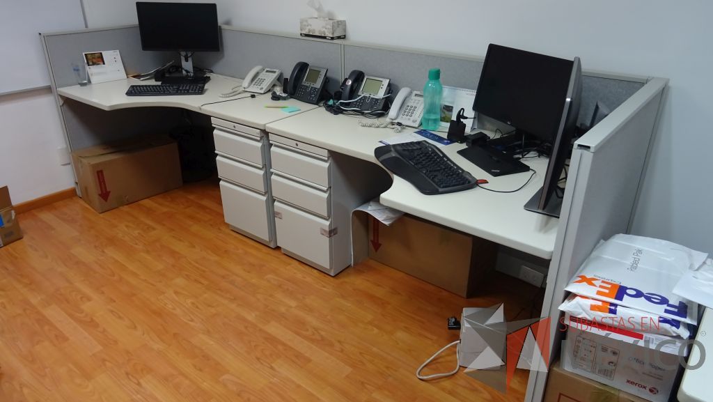 Lote 011 - 5 Estaciones de trabajo para 1 persona y 6 Sillas ejecutivas con respaldo de maya - Imagen 2