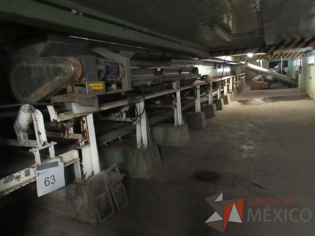 Lote 063 - Banda transportadora que descarga a Pisos de Germinación - Imagen 7