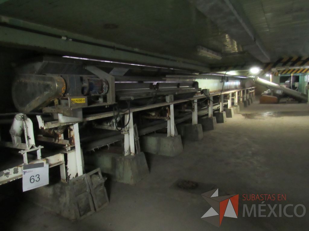 Lote 063 - Banda transportadora que descarga a Pisos de Germinación - Imagen 9