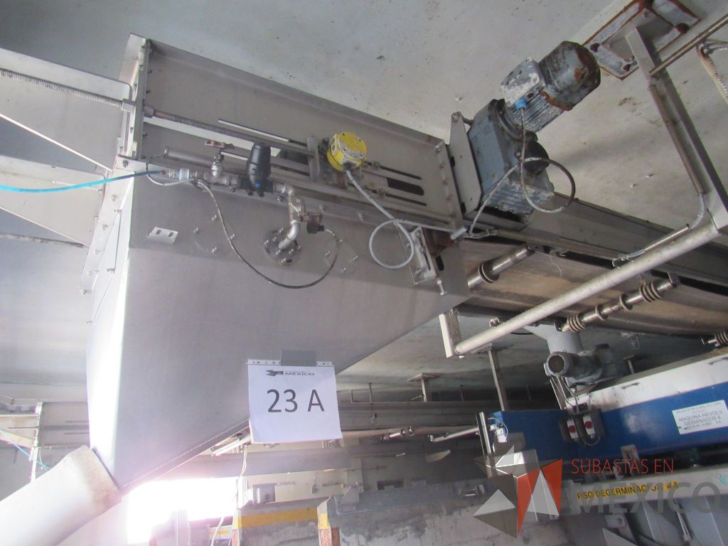 Lote 023A - Transportador de banda para germinador 1 fabricado en acero inoxidable - Imagen 6