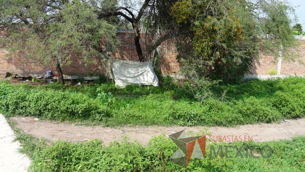 Lote - 007 Terreno Urbano - Imagen 5