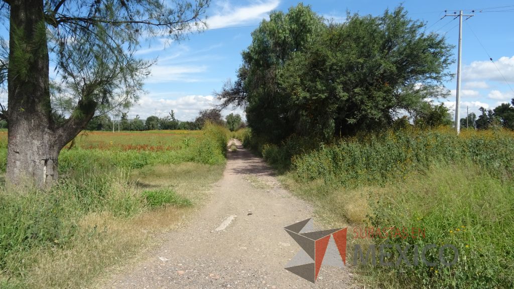 Lote - 011 Terreno
