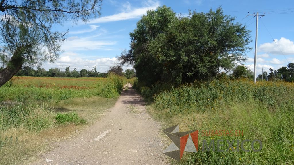 Lote - 011 Terreno - Imagen 2