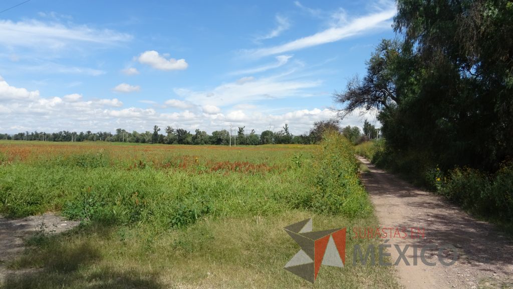Lote - 011 Terreno - Imagen 4