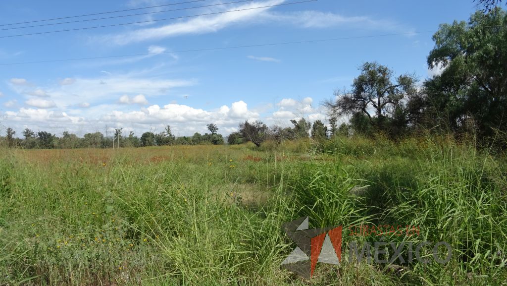 Lote - 011 Terreno - Imagen 12