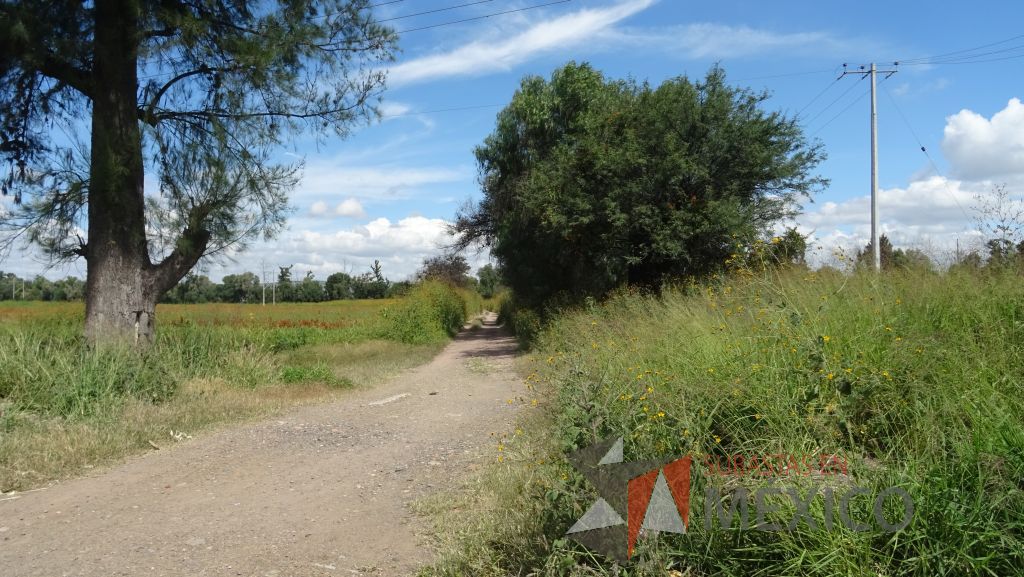Lote - 011 Terreno - Imagen 11