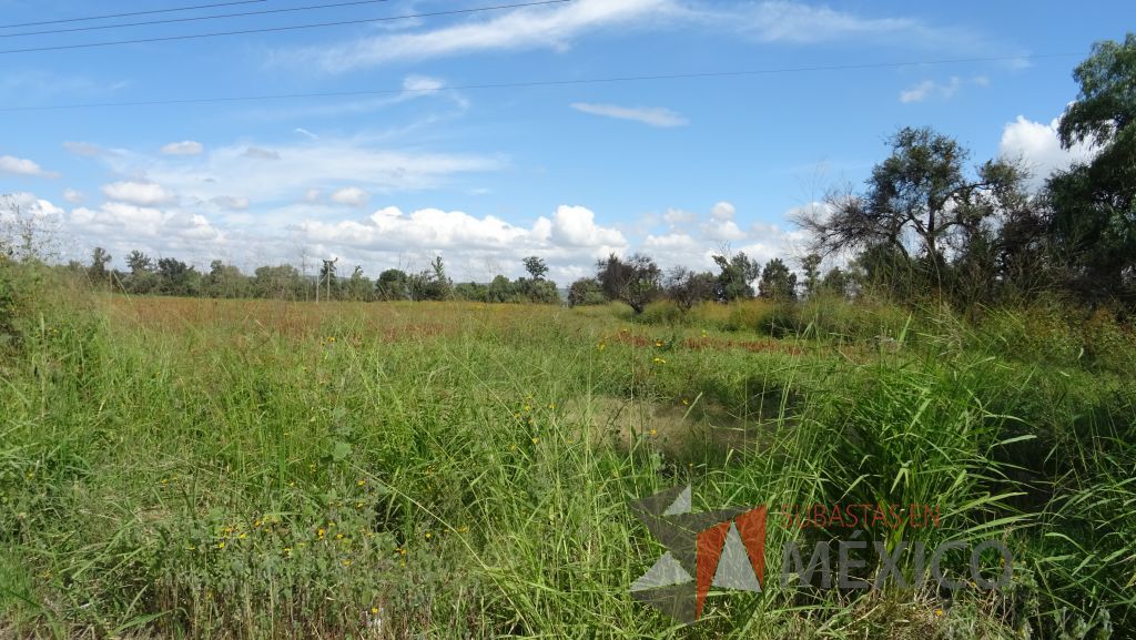 Lote - 011 Terreno - Imagen 9