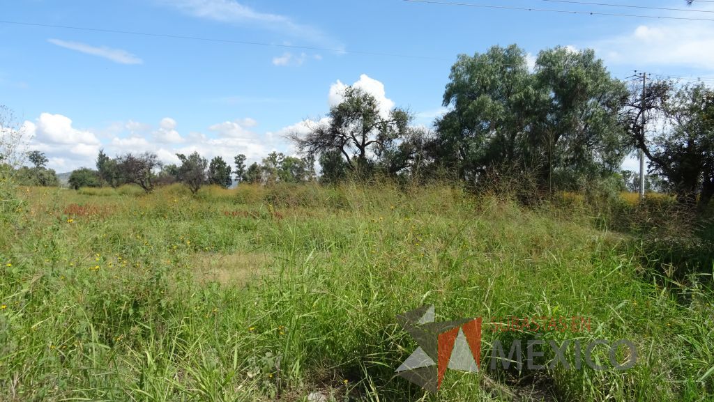 Lote - 011 Terreno - Imagen 8