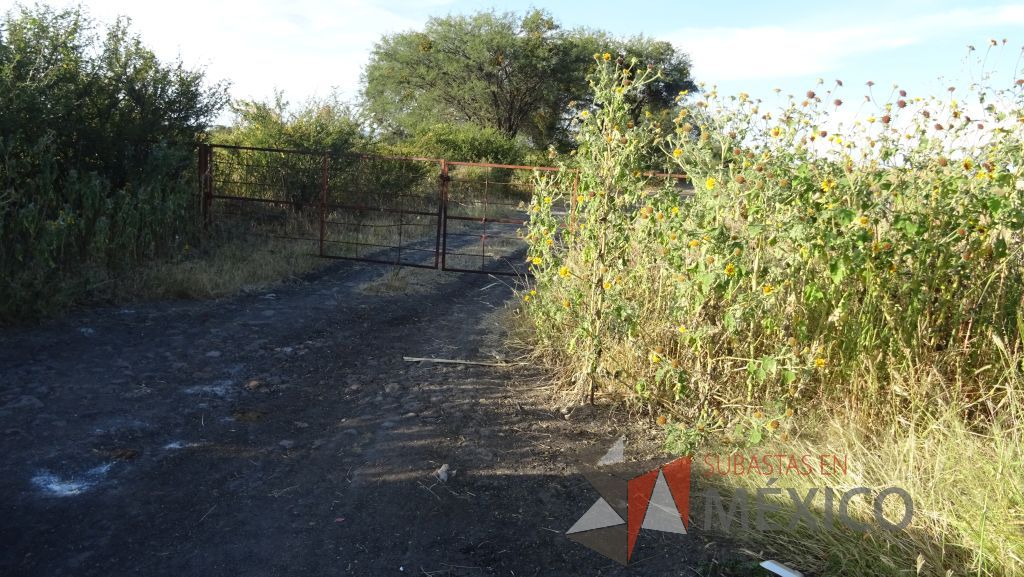 Lote - 012 Terreno Rustico - Imagen 2