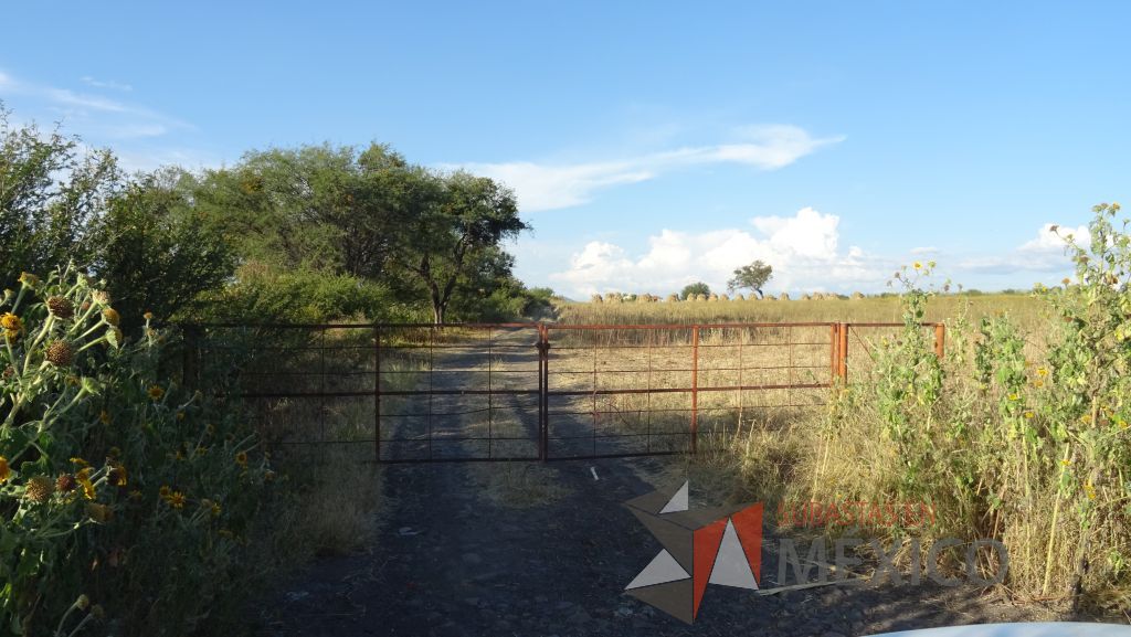Lote - 012 Terreno Rustico - Imagen 3