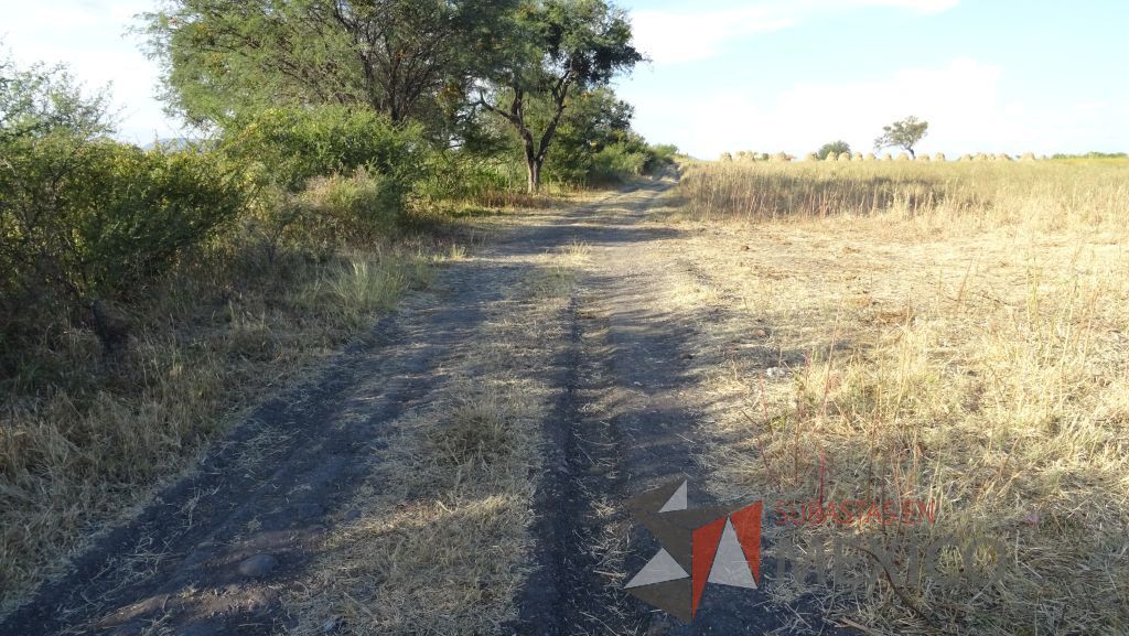 Lote - 012 Terreno Rustico - Imagen 5