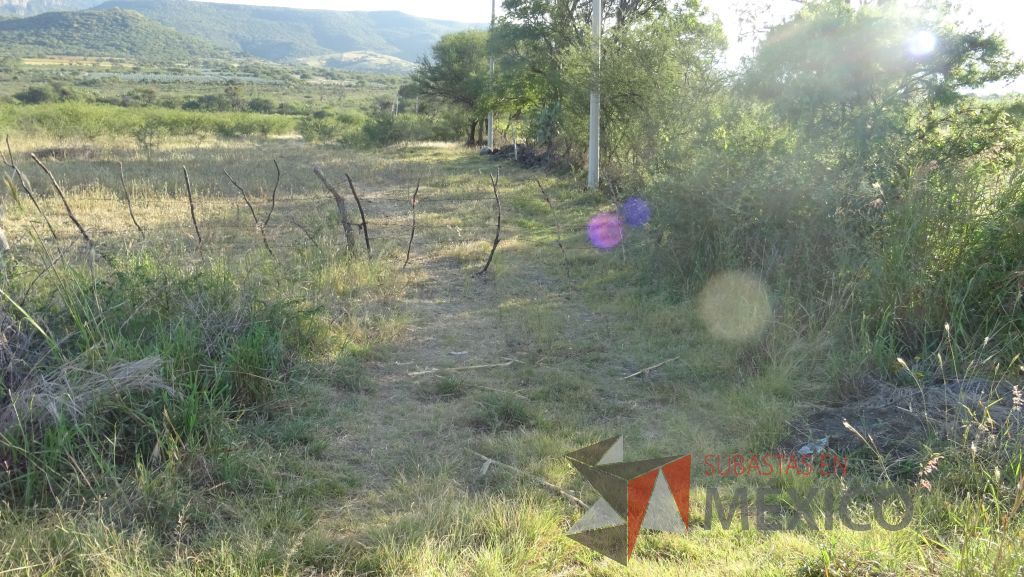 Lote - 012 Terreno Rustico - Imagen 13