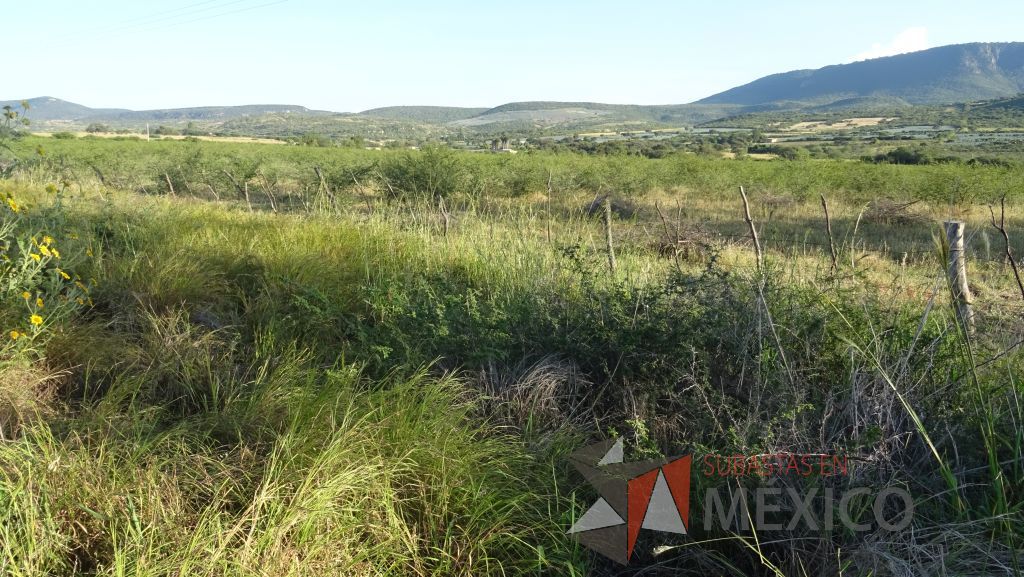 Lote - 012 Terreno Rustico - Imagen 14
