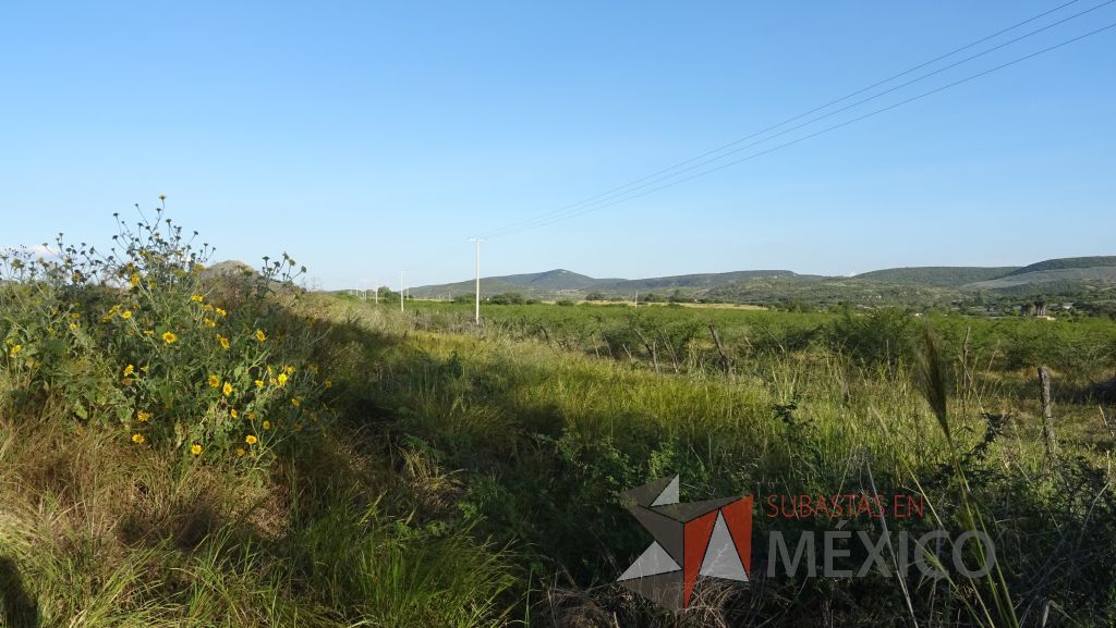 Lote - 012 Terreno Rustico - Imagen 15