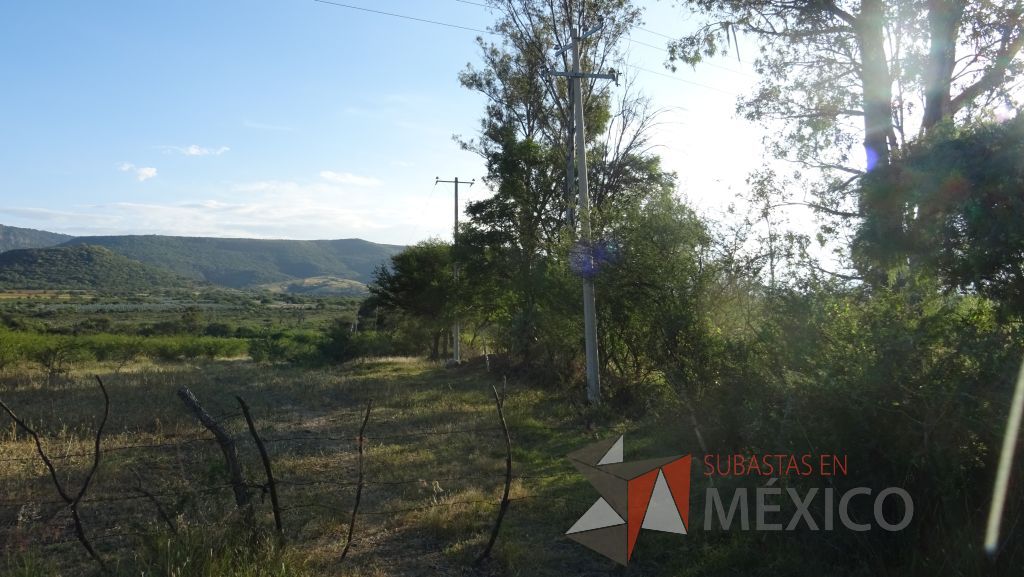 Lote - 012 Terreno Rustico - Imagen 16