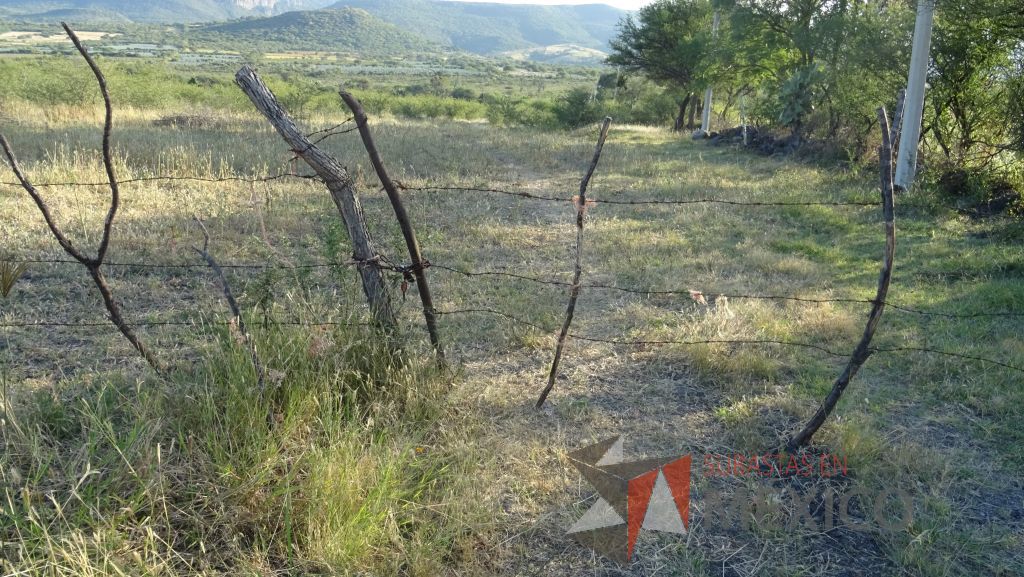 Lote - 012 Terreno Rustico - Imagen 17