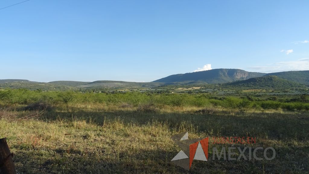 Lote - 012 Terreno Rustico - Imagen 19