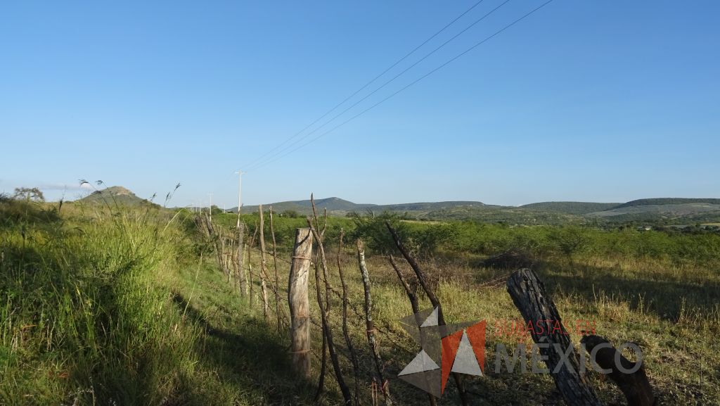Lote - 012 Terreno Rustico - Imagen 20
