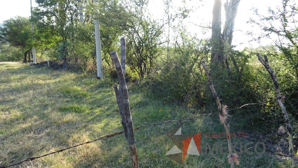 Lote - 012 Terreno Rustico - Imagen 21
