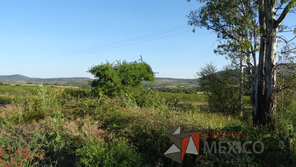 Lote - 012 Terreno Rustico - Imagen 23