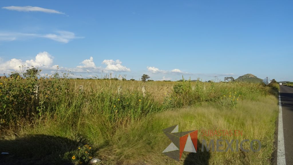 Lote - 012 Terreno Rustico - Imagen 28