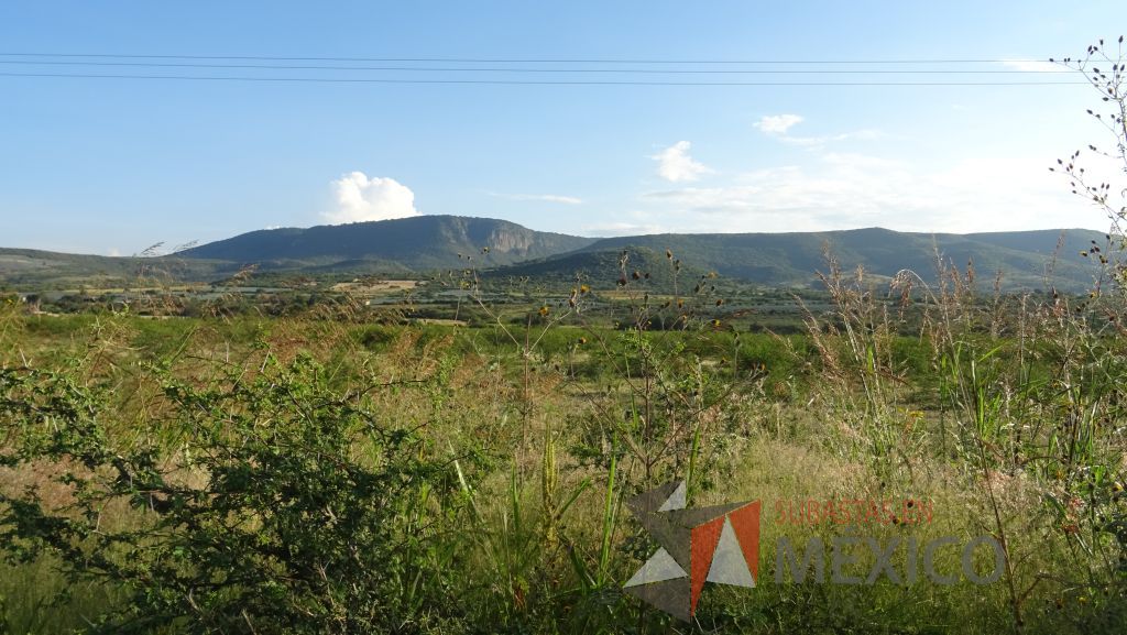 Lote - 012 Terreno Rustico - Imagen 32