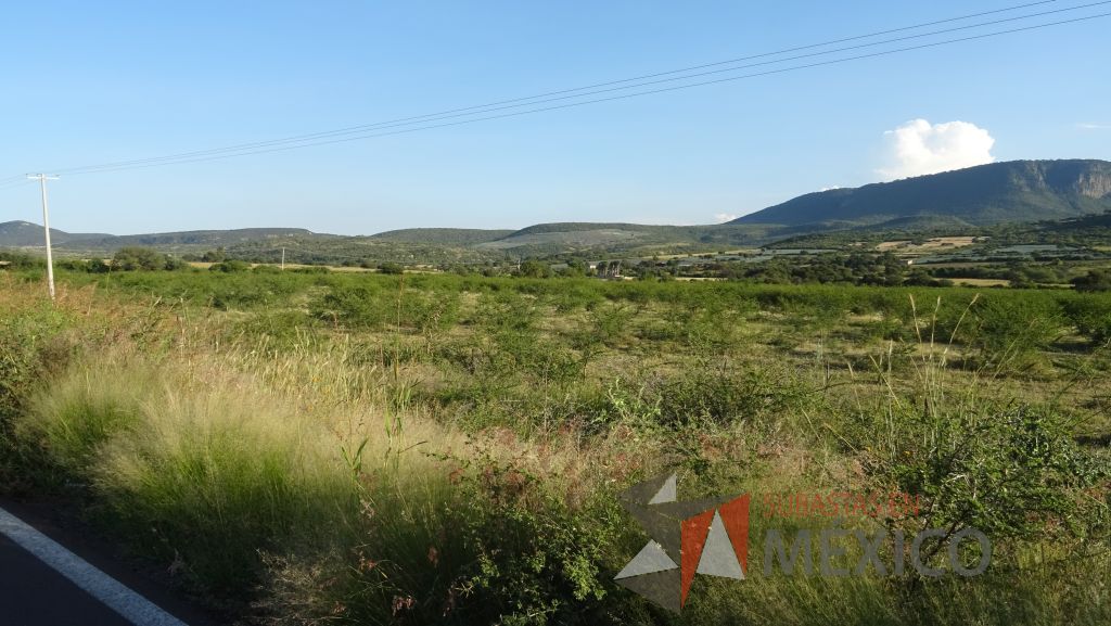 Lote - 012 Terreno Rustico - Imagen 34