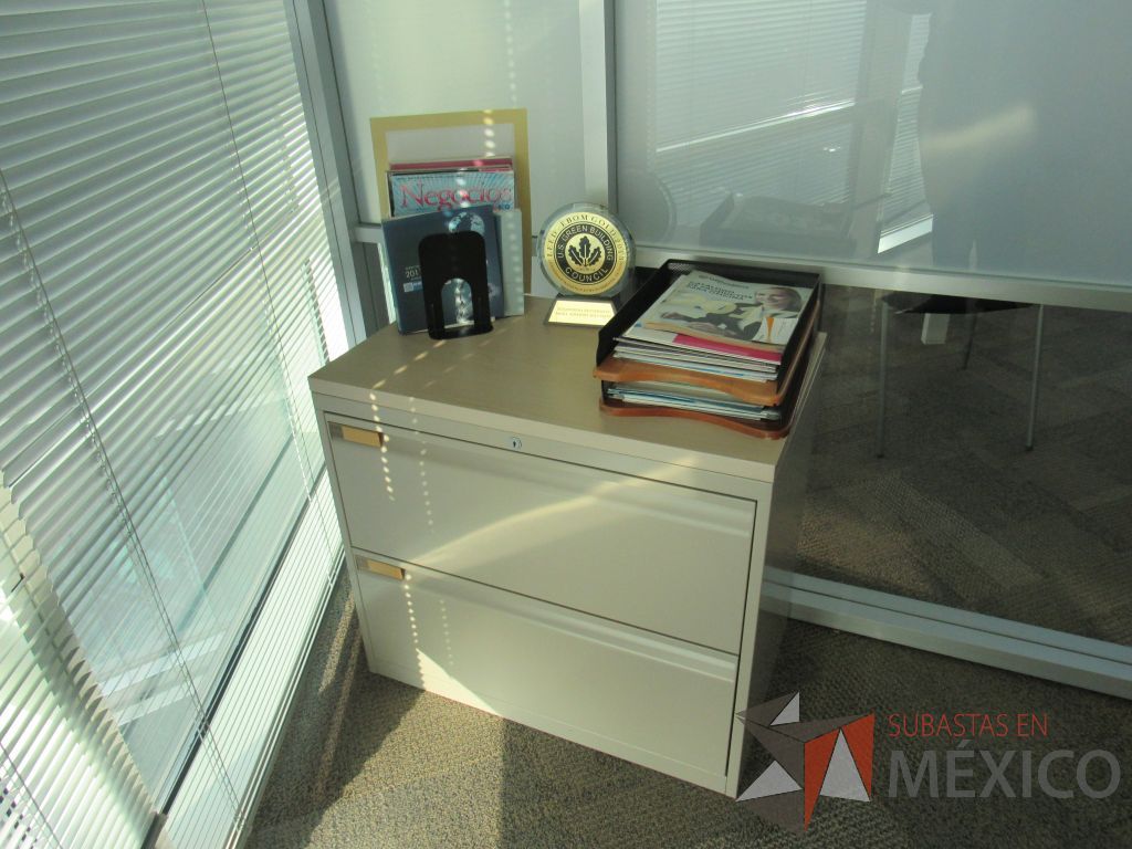 Lote 013 - Muebles de recepción con archivero vertical de 3 cajones y 2 repisas. - Imagen 3