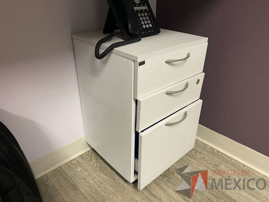 Lote 001 - Oficina Ejecutiva con Escritorio en escuadra, Gabinete y Archivero. - Imagen 11