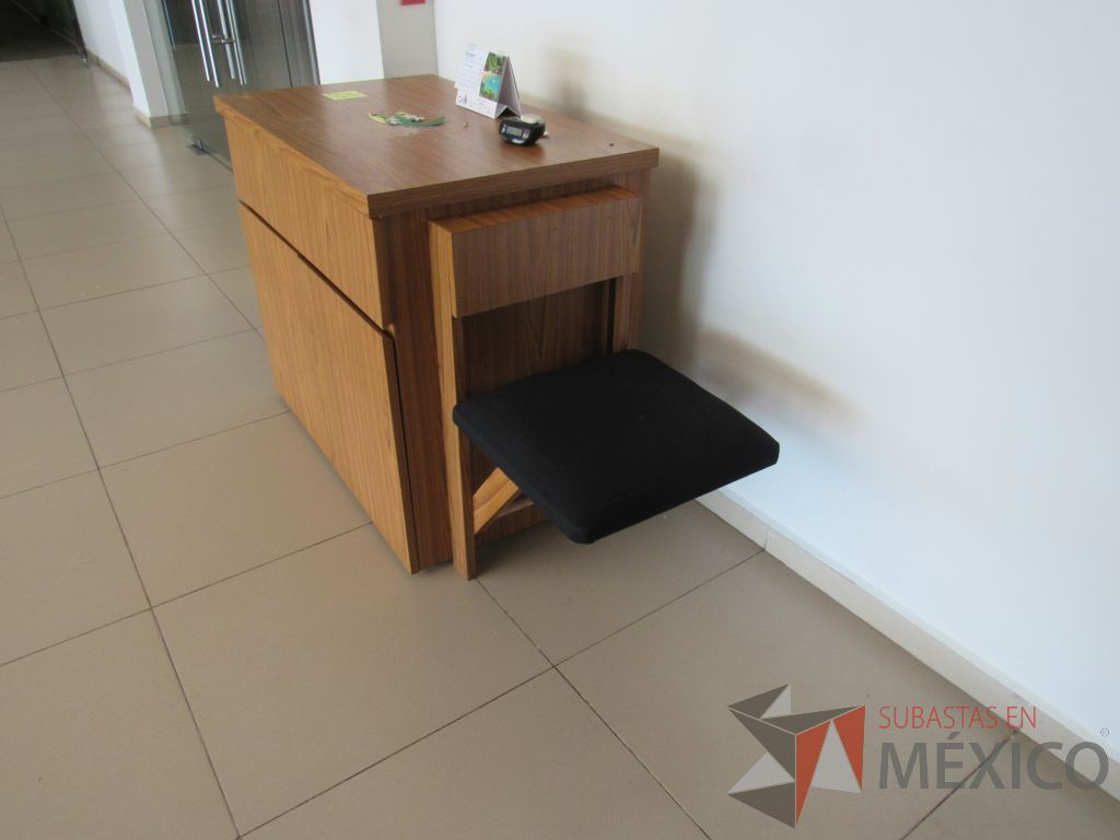 Lote 001 - Mueble de recepción con cubierta tipo mármol y Gabinete con 2 puertas - Imagen 19