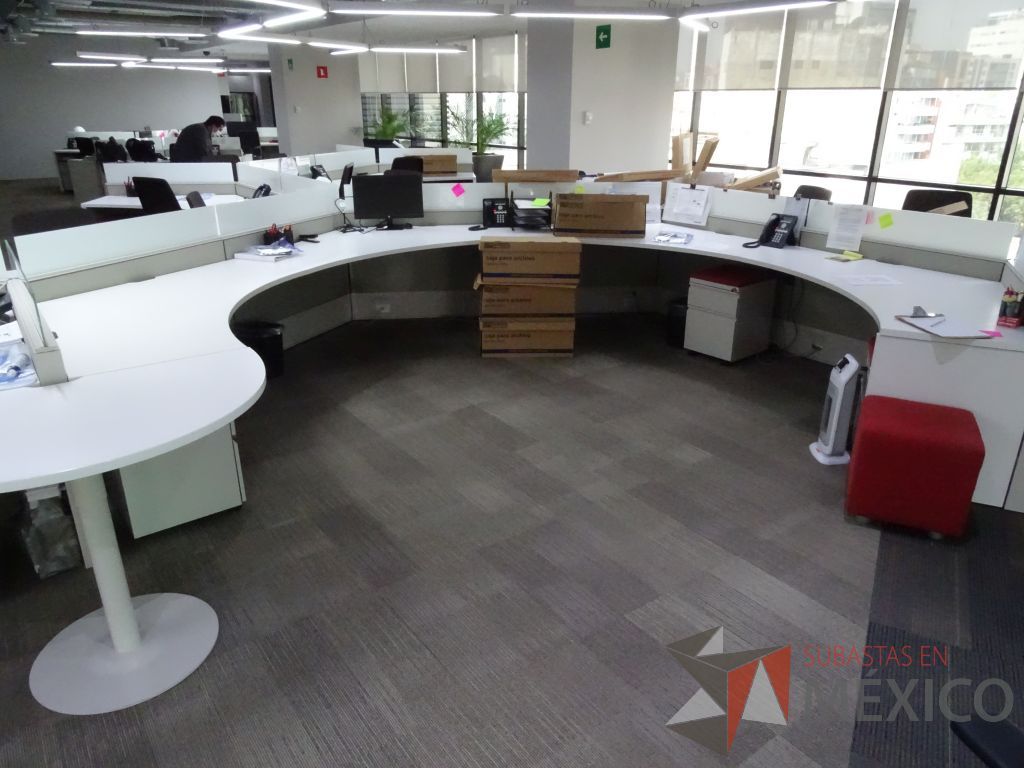 Lote 008 - Estación de trabajo para 17 personas de mampara baja seminueva, Marca: Haworth - Imagen 11