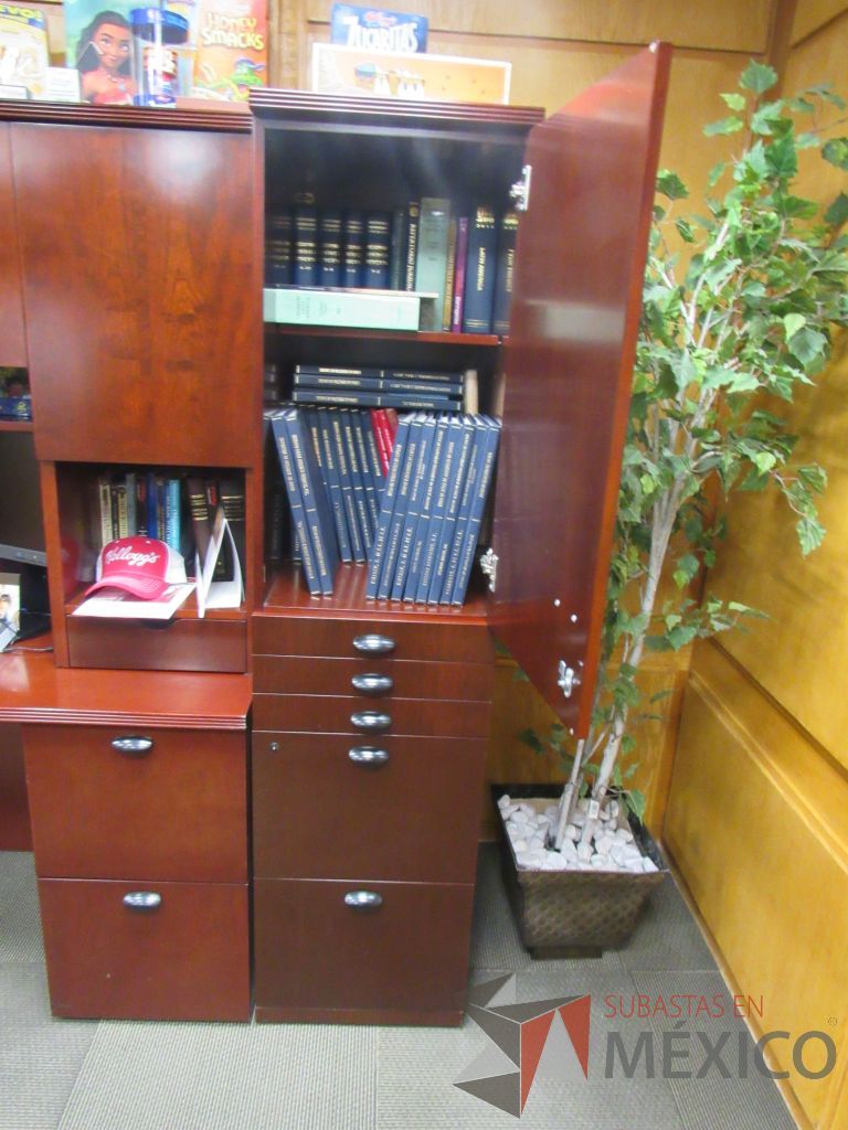 Lote 002 - Oficina Ejecutiva con Escritorio tipo madera, Gabinete y Mesa de juntas - Imagen 13