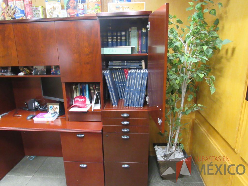 Lote 002 - Oficina Ejecutiva con Escritorio tipo madera, Gabinete y Mesa de juntas - Imagen 14