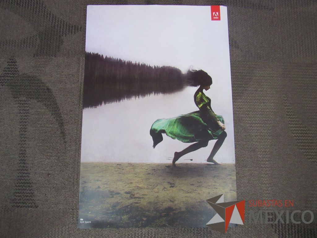 Lote 076 - 11 Posters - Imagen 30