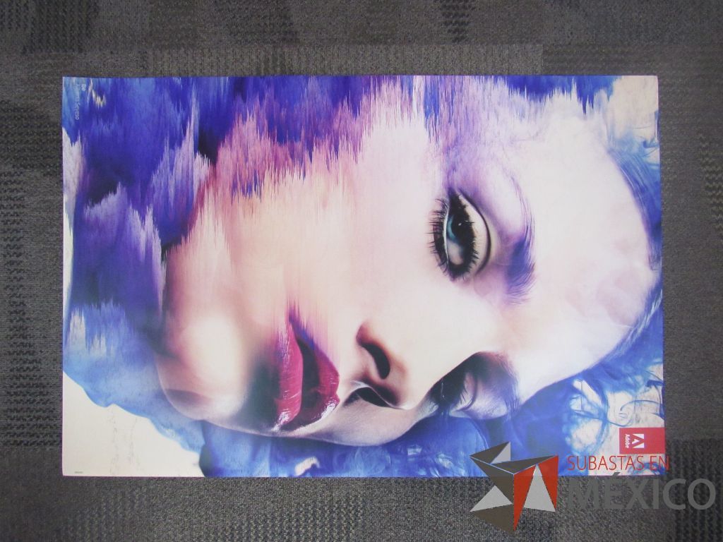 Lote 076 - 11 Posters - Imagen 36