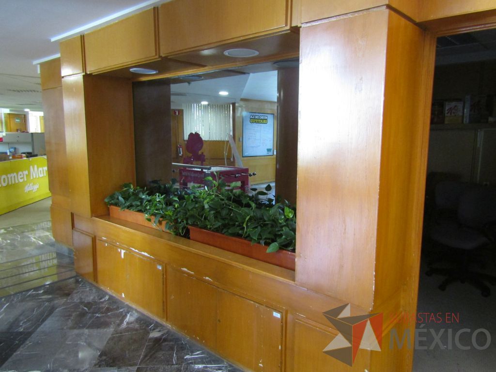 Lote 001 - 3 canceles de madera, 4 puertas y 8 ventanas de vidrio reflectivo - Imagen 22