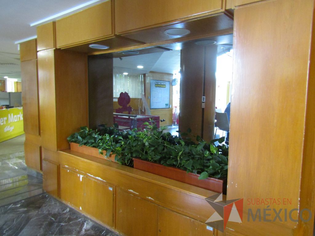 Lote 001 - 3 canceles de madera, 4 puertas y 8 ventanas de vidrio reflectivo - Imagen 23