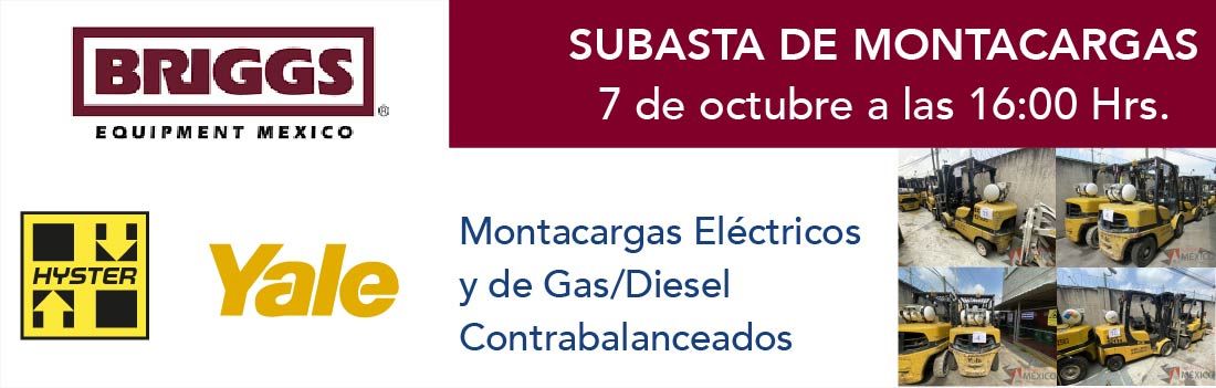 Subasta Briggs - Montacargas Yahel - Hyster