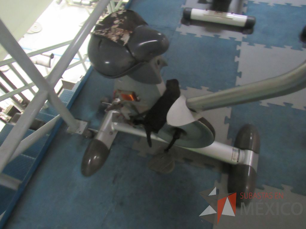 Lote 021 - Banco plano para abdominales y Bicicleta en mal estado, sin pedales y asiento roto - Imagen 10
