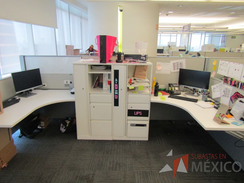 Lote 038 - Estación de trabajo para 10 personas de mampara baja con 10 gabinetes altos metálicos color blanco - Imagen 9